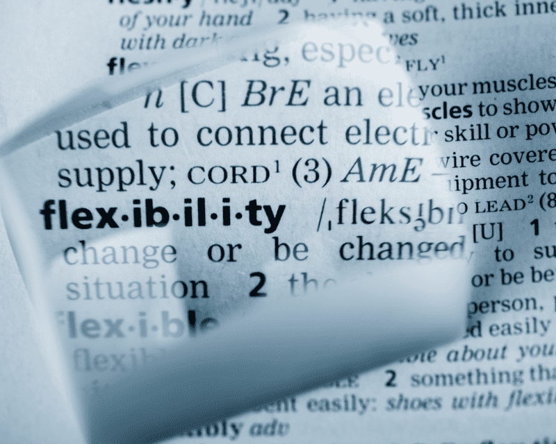 flexibility word on a dictionary