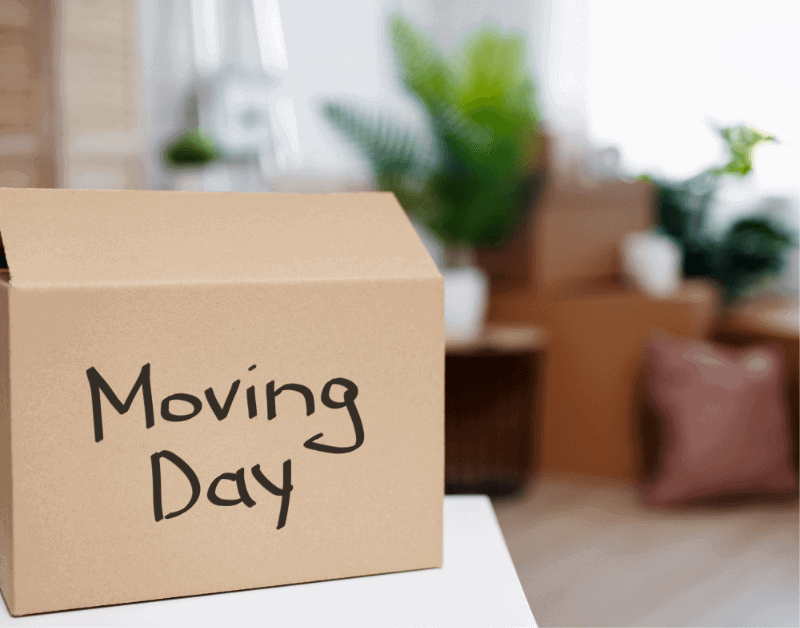 moving day written in a box